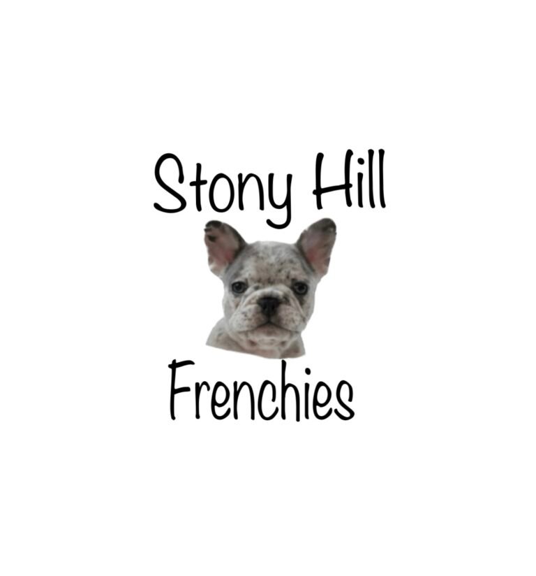 mollie-stony-hill-frenchies