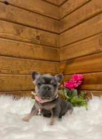 Rosie