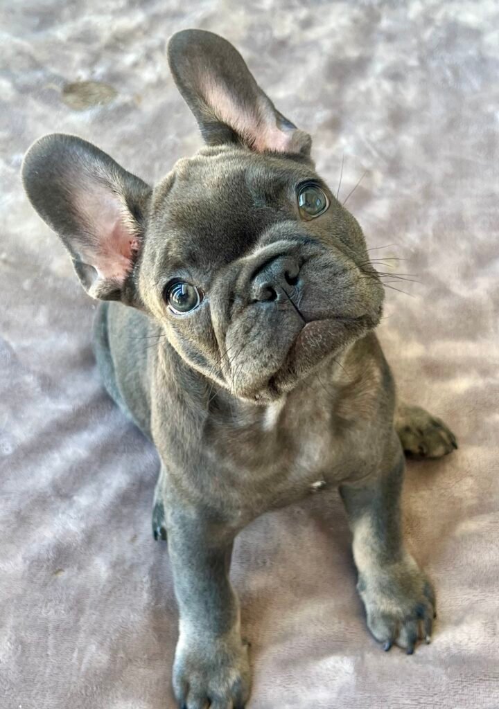 Highly recommend! 2 IMG 2814