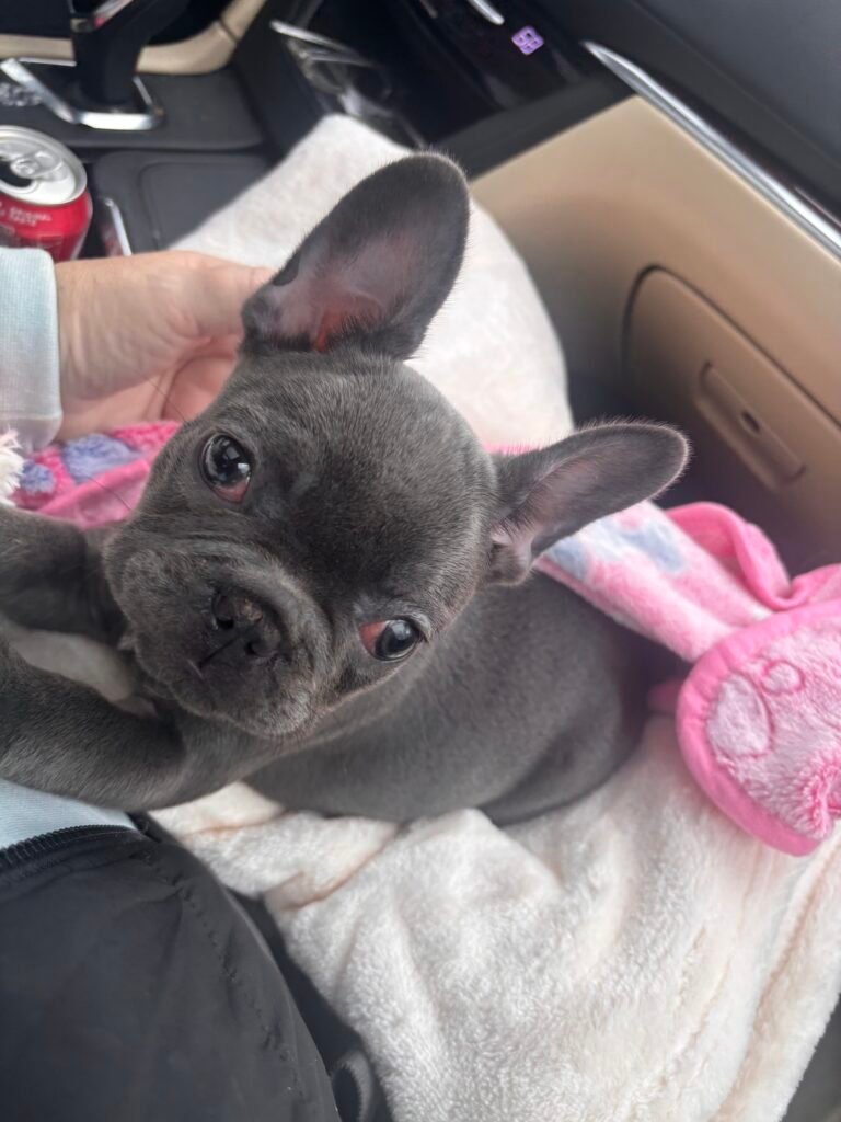 She became family immediately 2 IMG 5453