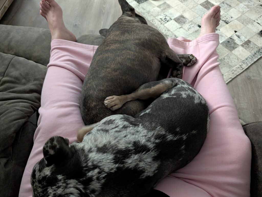 Diezel needed a brother 2 PXL 20260130 112743446