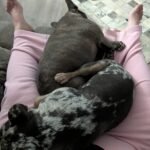 PXL 20260130 112743446