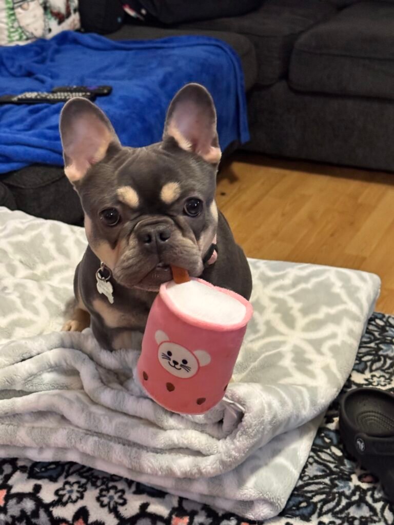 My love π 2 IMG 5709