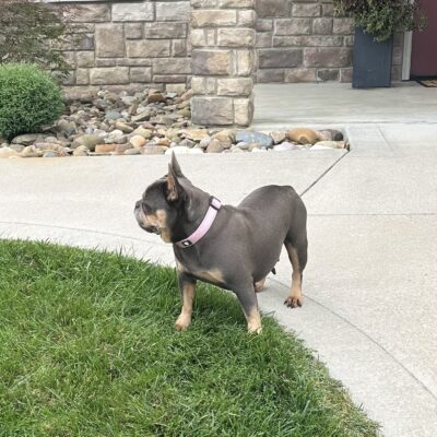 Chloe